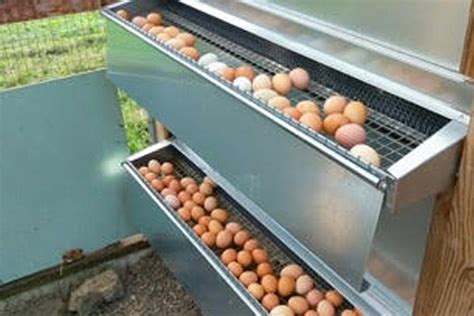 metal chicken roosting boxes|easy nesting boxes for chickens.